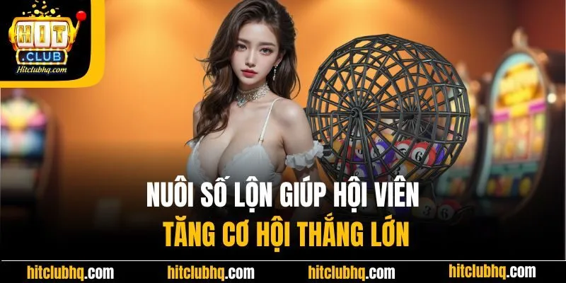 Nuôi số lộn giúp hội viên tăng cơ hội thắng lớn
